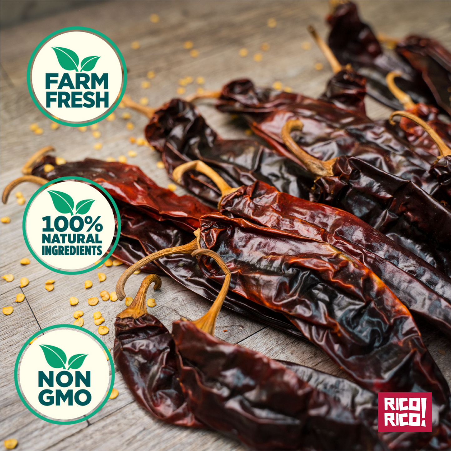 Dried Mexican Chiles 6-Pack – Ancho, Arbol, Guajillo, Pasilla, Morita & Cascabel
