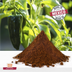 Ancho Chile Powder Bag thumbnail 4