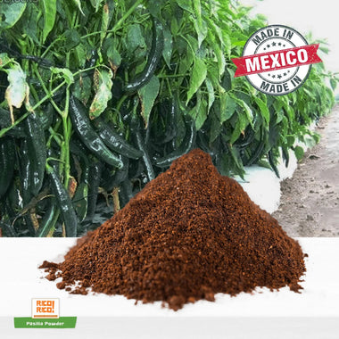 Pasilla Chile Powder Shaker image 7